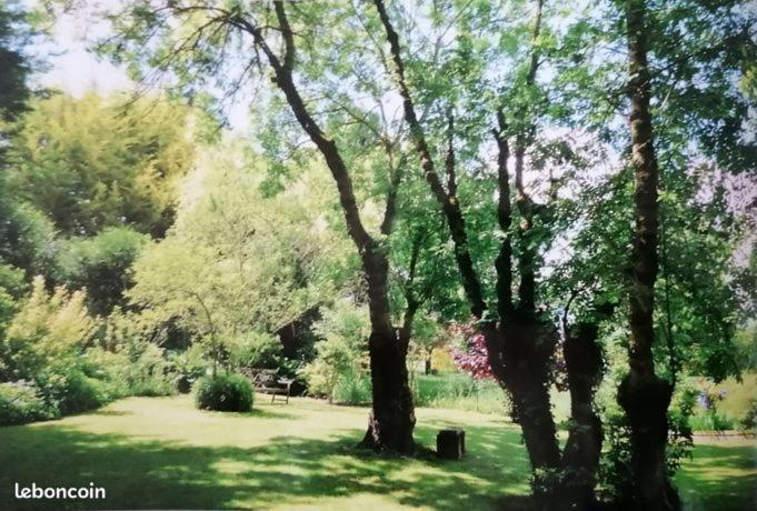 Reves & Riviere Bed & Breakfast エクステリア 写真